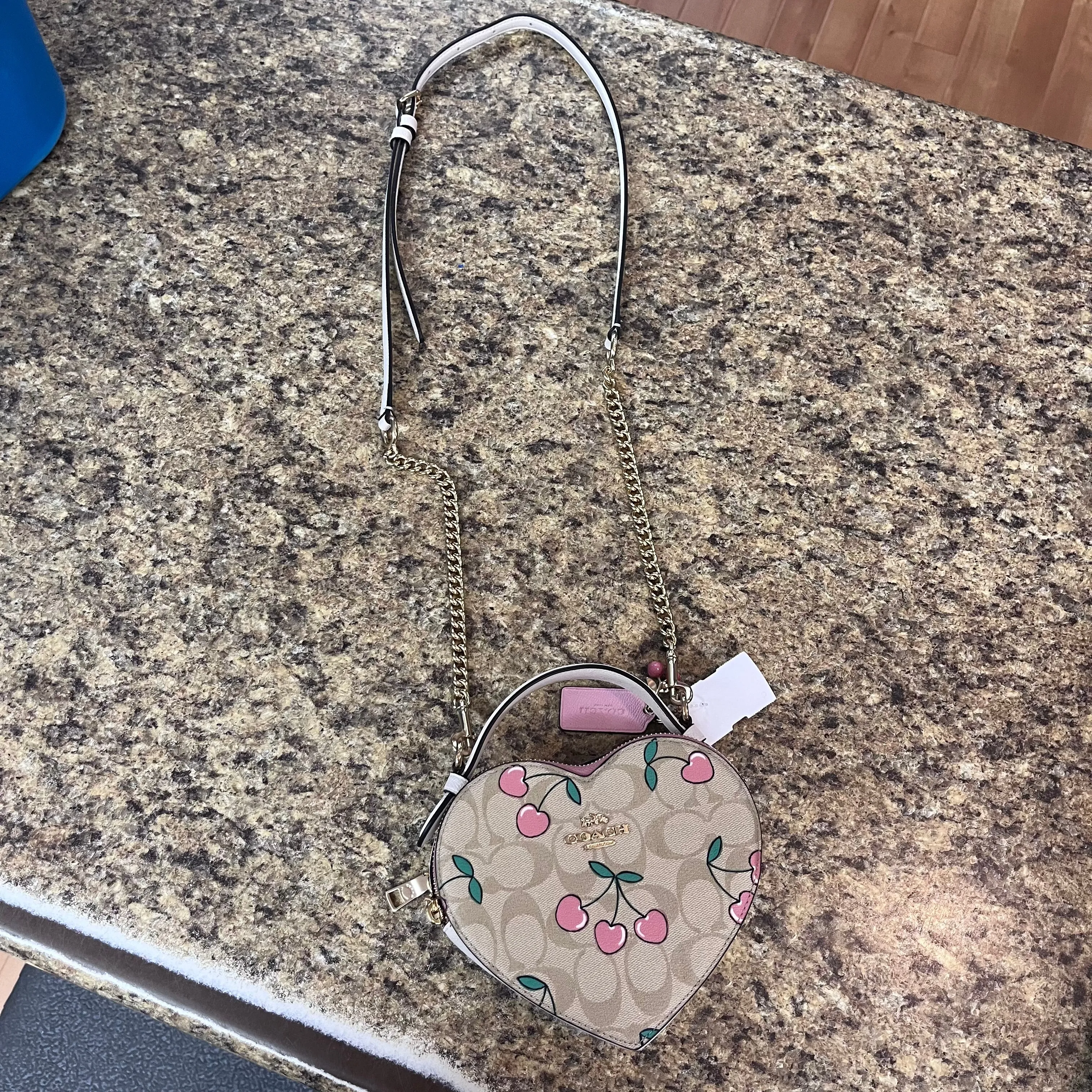 Crossbody Designer Coach, Size Small