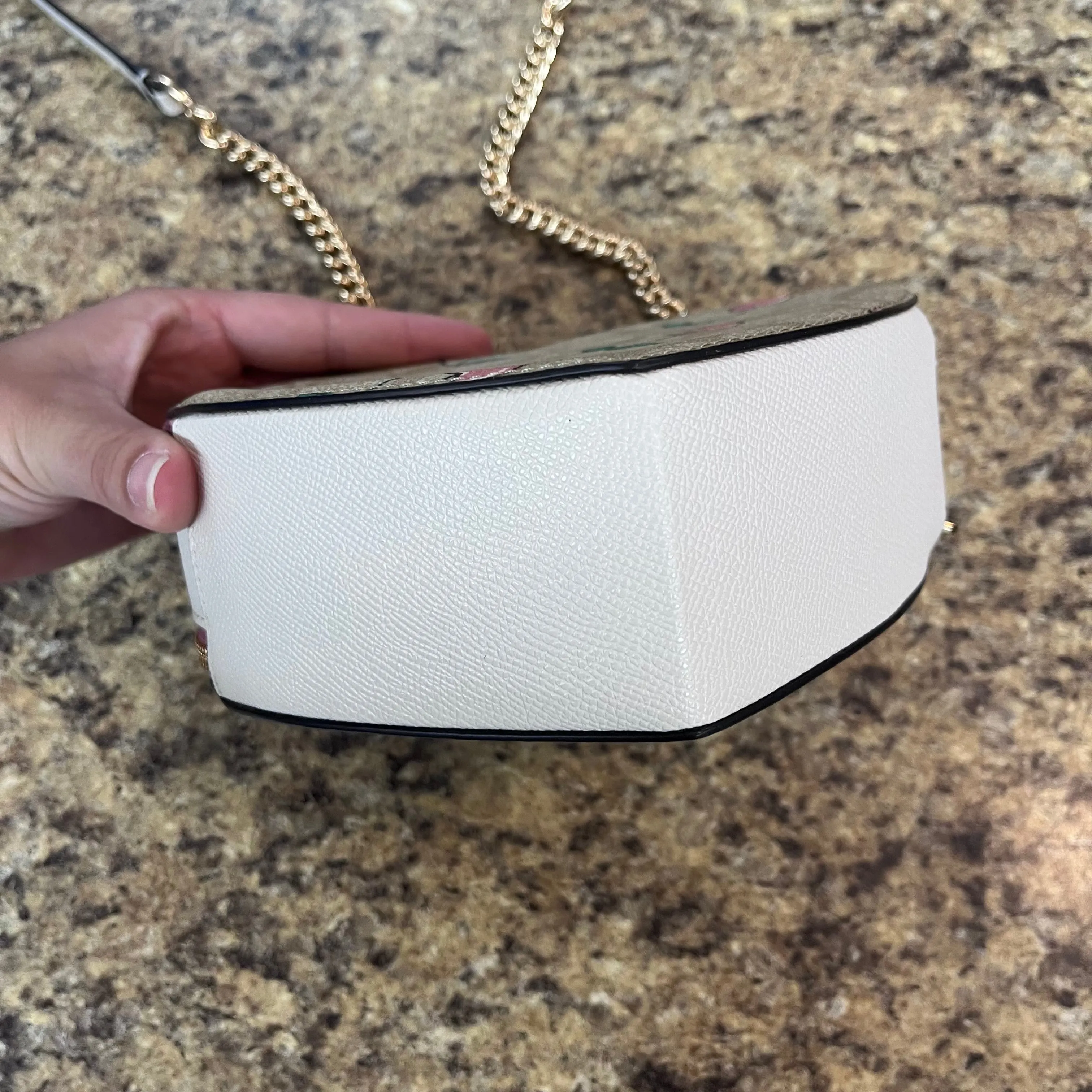 Crossbody Designer Coach, Size Small