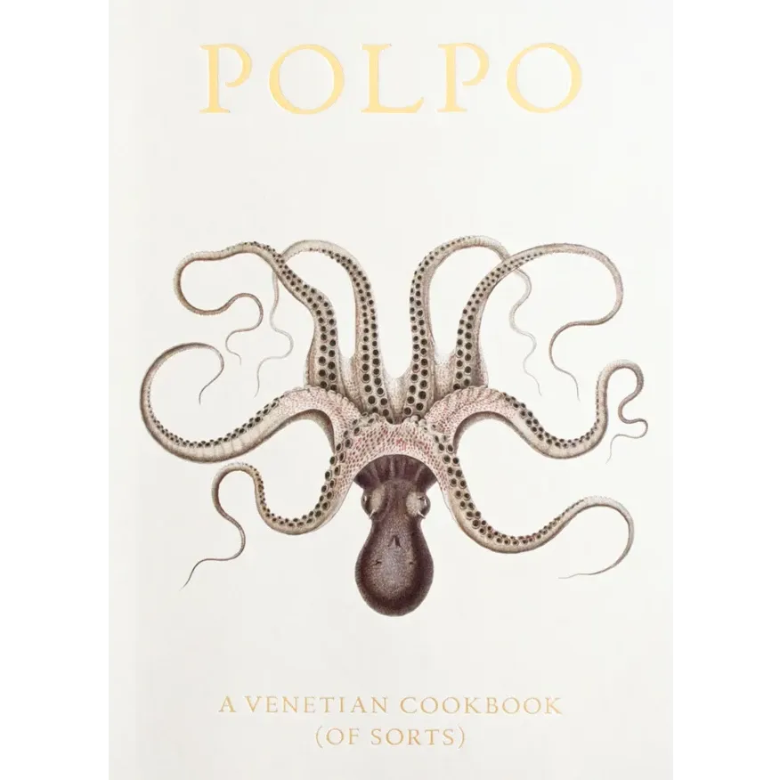 Polpo
